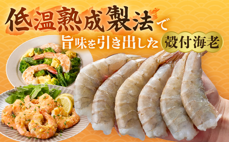 殻付き低温熟成海老6尾×6P《配達不可エリア：北海道・沖縄・離島》・K318