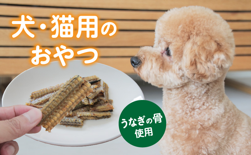 ほねほねぽわんこ 3袋セット・K336