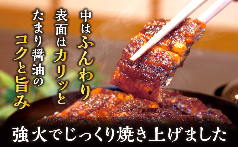 三河一色産　うなぎ蒲焼　大サイズ2尾　無頭（1尾約155ｇ）　国産　M044-19 うなぎ 三河 愛知 一色 日本産 鰻 蒲焼き うなぎ蒲焼 鰻蒲焼き うな丼 うな重