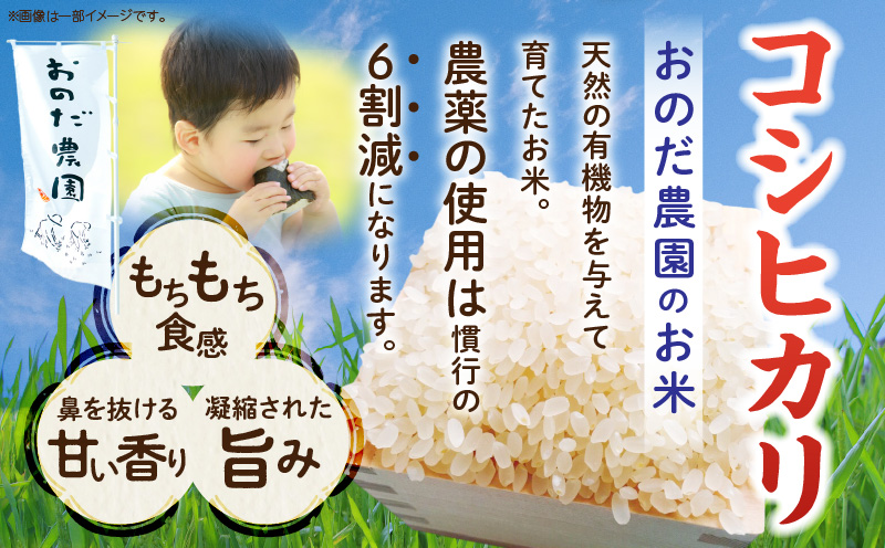 【令和7年度産】おのださんちのハッピー米(コシヒカリ)白米5kg×2・O017-26