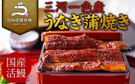 【12月限定　特別提供】三河一色産うなぎ蒲焼大3尾(計420g以上)・R006_c1