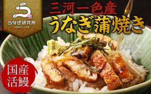 【12月限定　特別提供】三河一色産うなぎ蒲焼　きざみうなぎ 4個(計280g以上)・R010_c1
