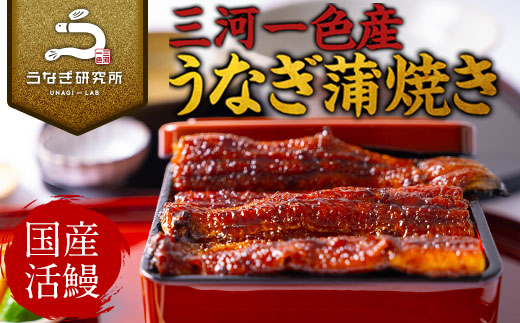 三河一色産うなぎ蒲焼超特大3尾(計540g以上)・R047
