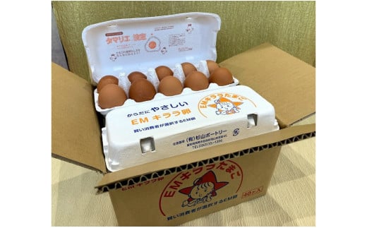 S018-66.杉山ポートリー「EMキララたまご」【6か月定期便】