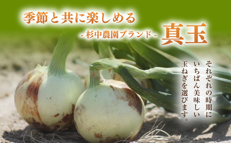 口に広がる優しい甘さの玉ねぎ ～真玉～　10kg（箱の重さ込み）・S098
