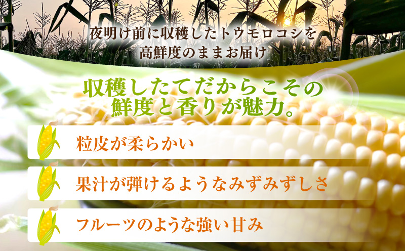 朝採れ！とうもろこし2種セット「プレミアム味来＆ドルチェ」各5本・S101