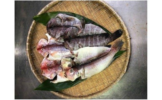 元漁師が作る高級魚干物セット・T018-22