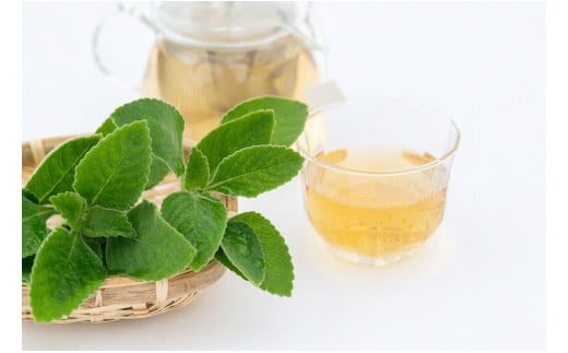 「マンジェリコン茶（ゴールド）」茶葉タイプ１袋65ｇ・T039-15