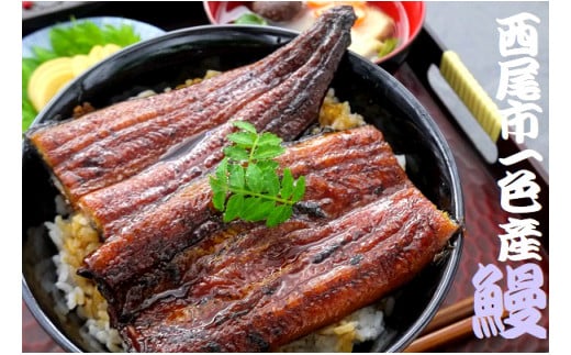 一色産　うなぎ蒲焼・白焼食べ比べセット　無頭　国産　T054-30