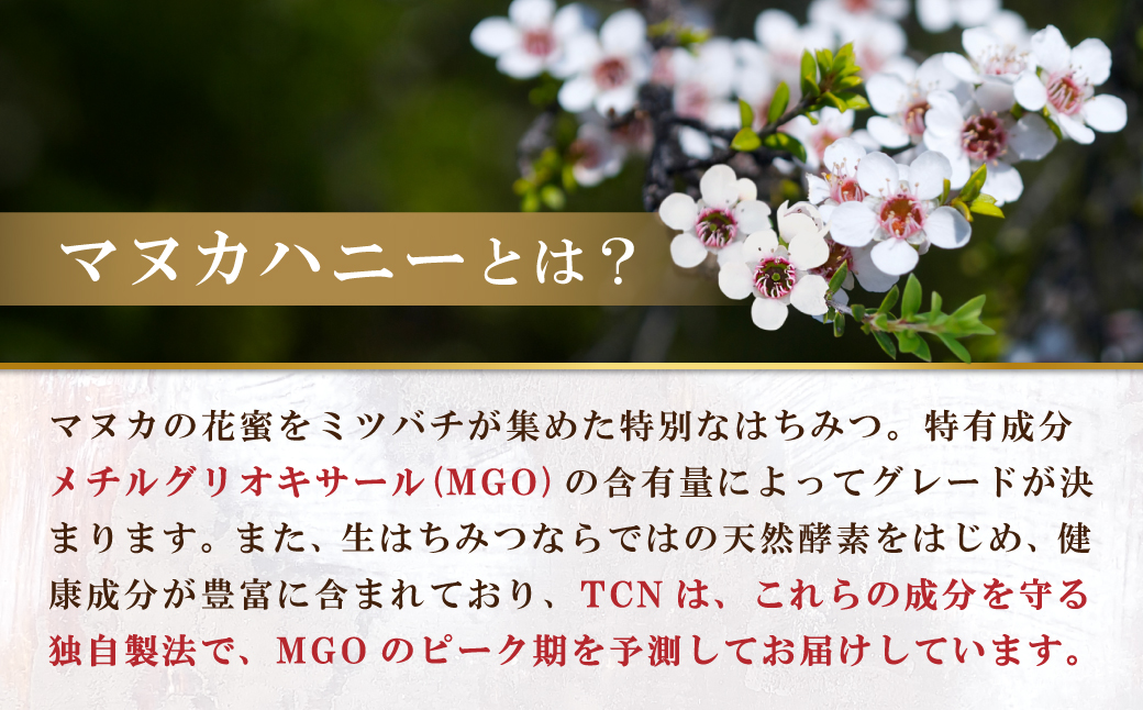 【定期便全６回】マヌカハニー MGO860+ 500g ストロングマヌカハニー・T145