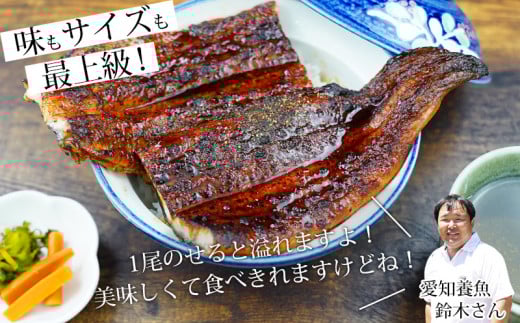 国産うなぎ 三河産 おばけうなぎ蒲焼き2尾（2尾合計450～460g）うなぎ 超特大 おばけサイズ 2尾 本格 鰻 蒲焼 愛知県 西尾市 愛知養魚 惣菜 海鮮 ウナギ 丑の日 土用の丑の日 A126-20