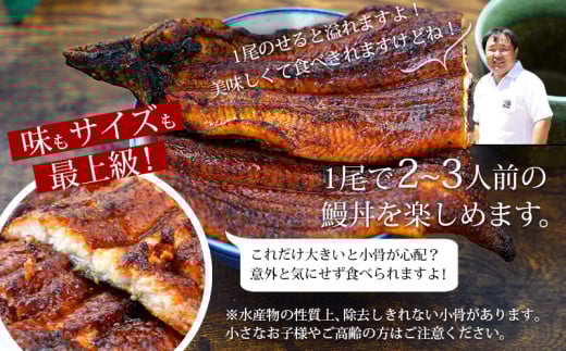規格外サイズ！とても大きな三河産うなぎ「蒲焼き冷凍×1尾（300g以上）」蒲焼 ウナギ 国産うなぎ 鰻 蒲焼 愛知県 西尾市 愛知養魚 本格うなぎ 丑の日 土用の丑の日・A135-14