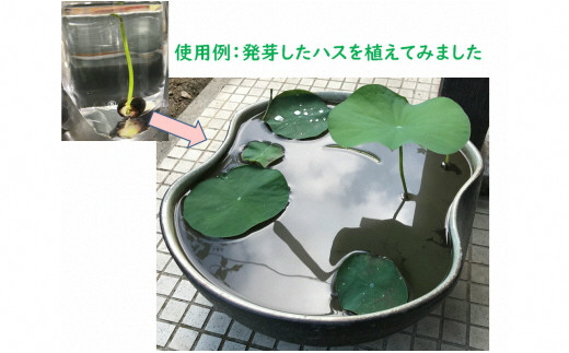 荒木田土20Kg (約17L) 1袋・A163-17