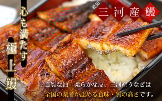 三河産うなぎ「蒲焼き冷凍×5尾（650ｸﾞﾗﾑ以上：100ｸﾞﾗﾑ～160ｸﾞﾗﾑ内）＋鰻肝串2本付き×2袋」うなぎ の蒲焼き 鰻 ウナギ 国産うなぎ 愛知県 西尾市 土用の丑の日 ・A184-30