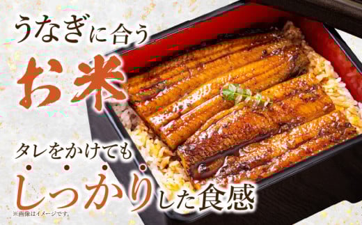 【令和7年産】特別栽培米西尾産コシヒカリ《ぬくもり》【2kg/袋×1袋】・D023-11