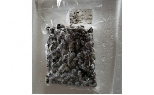 天然しじみ2.5kg（500ｇ×5）・K067-13