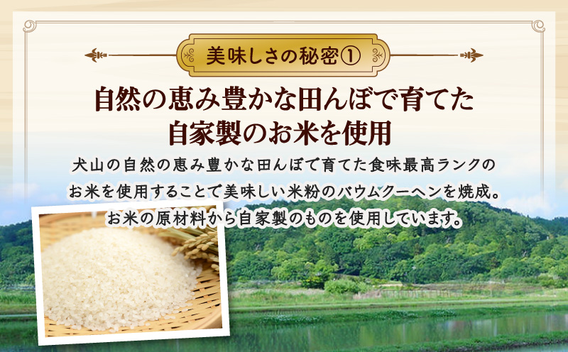 ハードバウム西尾抹茶・K285-7-1