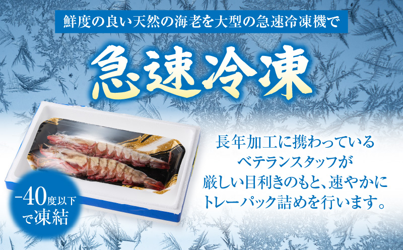 【高級】King Sea Tiger 王の海老2尾・K305