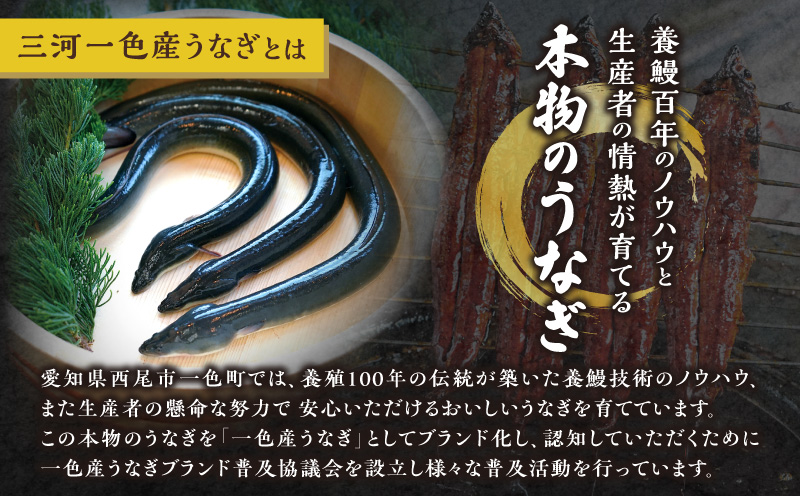 三河一色産　うなぎ蒲焼　大サイズ2尾　無頭（1尾約155ｇ）　国産　M044-19 うなぎ 三河 愛知 一色 日本産 鰻 蒲焼き うなぎ蒲焼 鰻蒲焼き うな丼 うな重