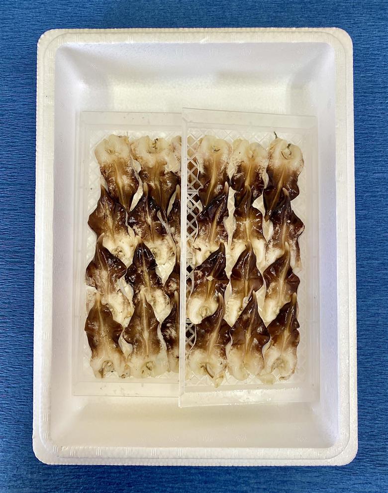 三河湾の幸！　ボイルとり貝【24枚入(12枚×2)】・M097