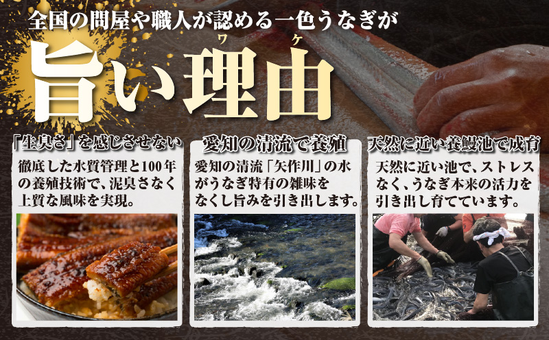 三河一色産うなぎ蒲焼 4尾（約640g）・O068