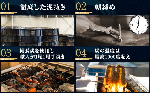 三河一色産うなぎ蒲焼特大4尾(計640g以上)・R044