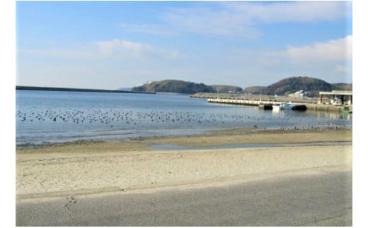 三河の民宿「鈴喜館」旬の魚介ランチ（2名分）・S026-23