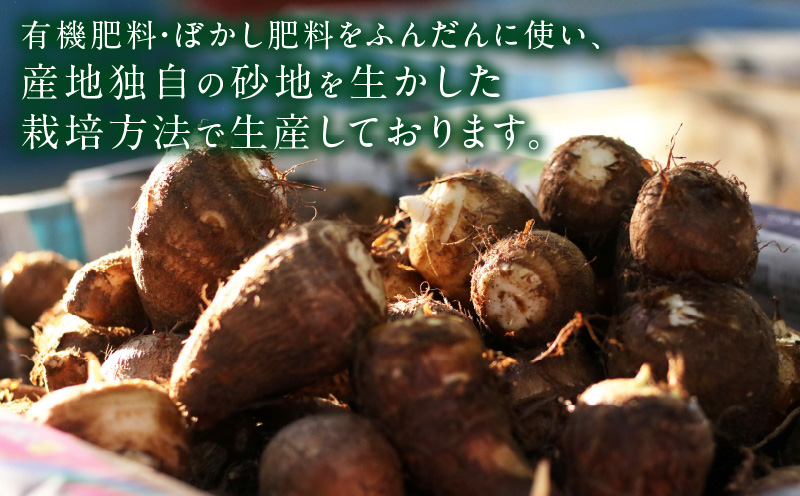 絶品里芋　～天晴れ～　4kg・S067