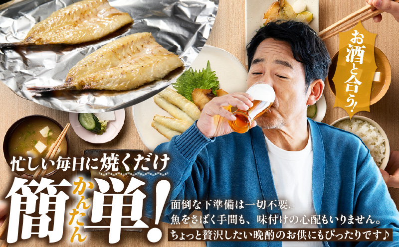 三河湾地魚モリモリセット・T020-13