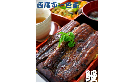 一色産うなぎ　蒲焼　２尾　無頭　国産　T052-17