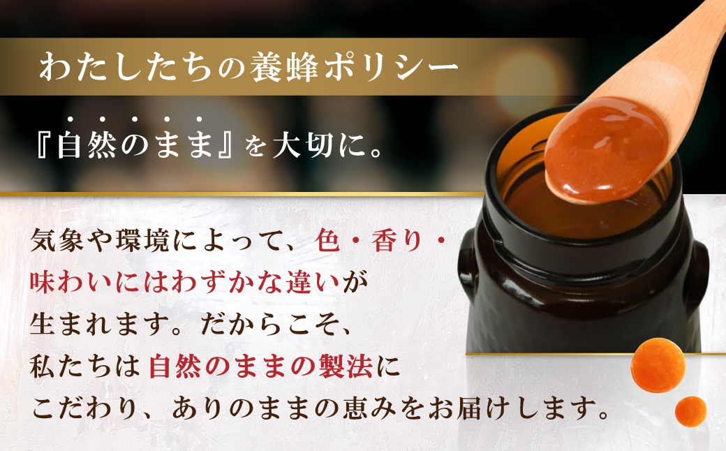 【定期便全12回】マヌカハニー MGO860+ 500g ストロングマヌカハニー・T146