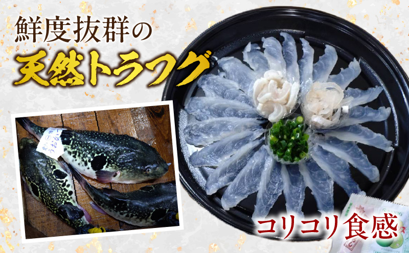 三河産天然トラフグ刺身とヒガンフグたたきの食べ比べセット・U047