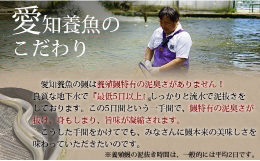 【定期便】三河産うなぎ「超おばけ蒲焼き2尾(合計500g以上)」×6回(隔月1回　1年間)・A134-120  うなぎ 本格 鰻 ウナギ 蒲焼 愛知県 西尾市 愛知養魚 惣菜 海鮮