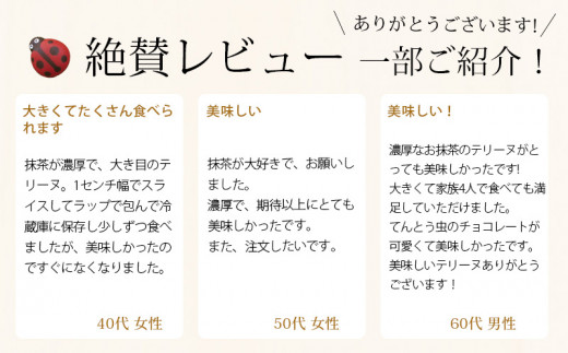 西尾抹茶のテリーヌ　濃厚抹茶スイーツ　テリーヌショコラ(500g)・A165-13-1 スイーツ ショコラ チョコ 生チョコ 極上 デザート 愛知 西尾市 人気 のお店 デザート おやつやさん 抹茶テリーヌ 抹茶スイーツ ケーキ 抹茶味 抹茶ケーキ