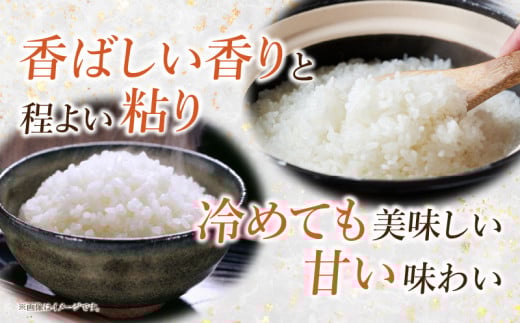 【令和7年産】特別栽培米西尾産コシヒカリ《ぬくもり》【2kg/袋×1袋】・D023-11