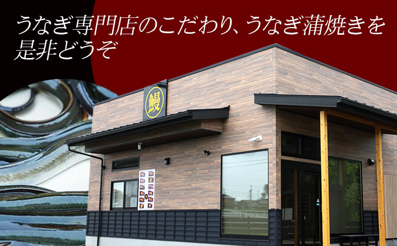 三河一色うなぎ蒲焼2尾、白焼き2尾(中サイズ)肝焼き付き・F019-28 鰻や 福きたる 国産 愛知県産 西尾市産 西尾市一色産 鰻 ウナギ 肝付き タレ付き 山椒付き 頭付き 自家製無添加だれ おかず グルメ 総菜 惣菜