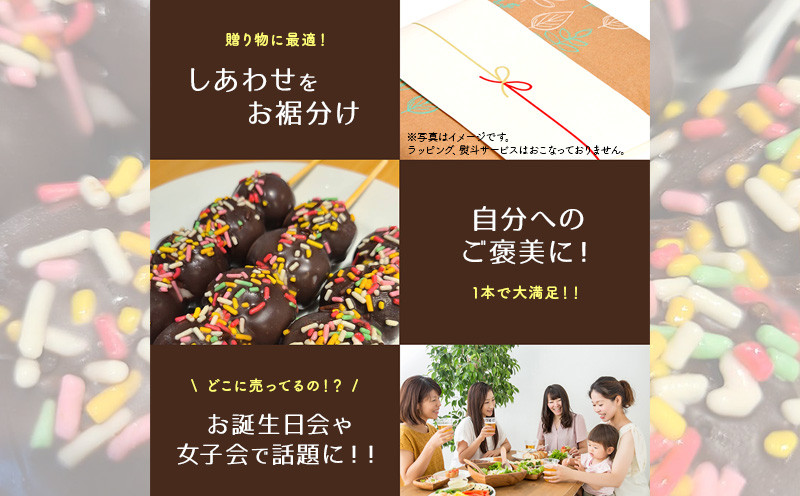 ジャンボチョコ団子10本セット(冷凍)・F023-14