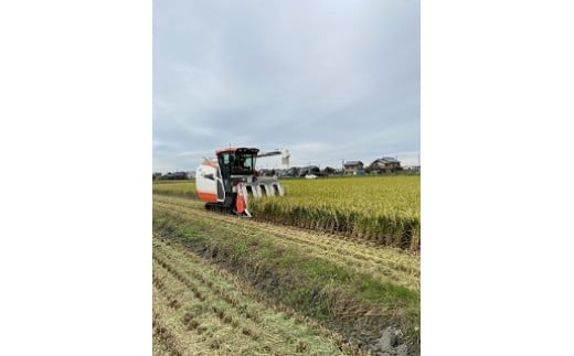 ＜万燈米＞【こしひかり 4.5kg×2袋 】・I027-25