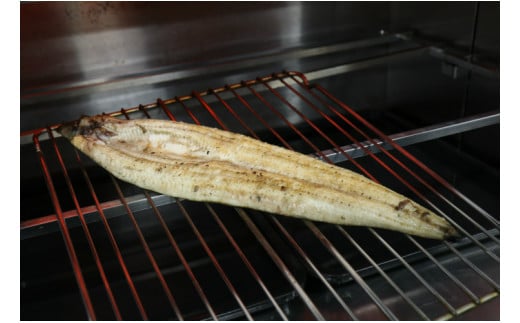 愛知三河産のうなぎ白焼き(特々大サイズ！2尾合計400～450g)・タレ付　国産・K008-21