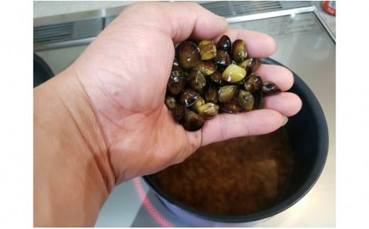 天然しじみ2.5kg（500ｇ×5）・K067-13