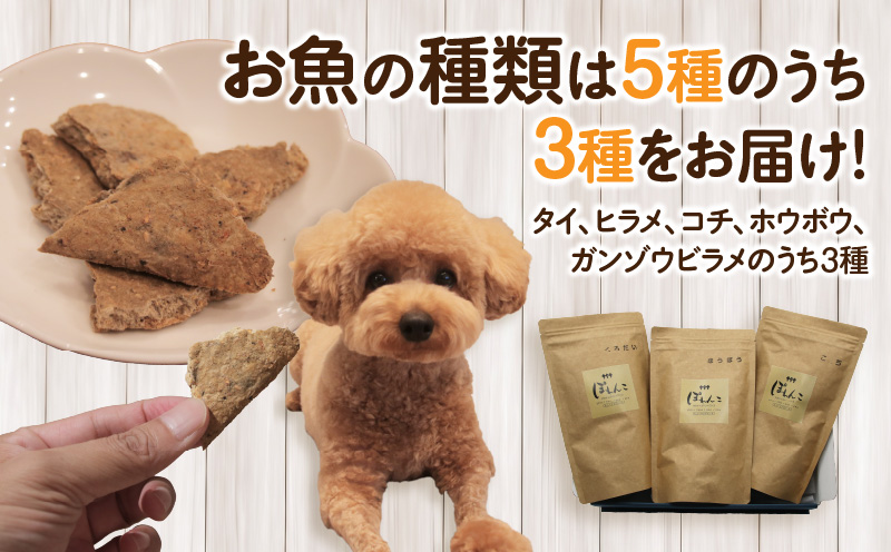 【12月限定価格】100%お魚で作ったペットフード「ぽわんこ」・K209-22_c2