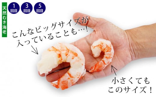 【定期便】特大天然むきエビ1.1kg×3回と大粒むきえび1.15kg×3回（隔月1回・全6回　１年間）・K227-69 海老 海鮮 食品  下処理済 冷凍 冷凍エビ エビフライ むきエビ お弁当 弁当用 八宝菜 中華飯 エビマヨ 等に