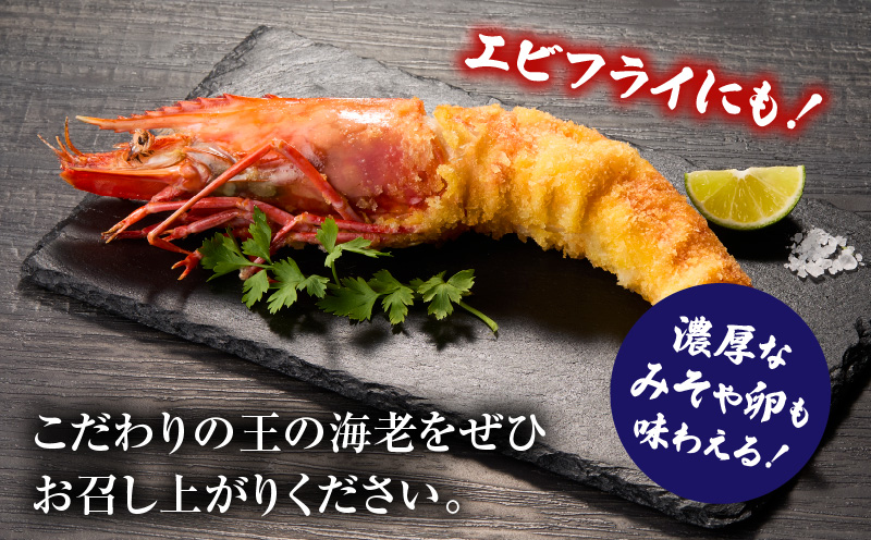 【高級】King Sea Tiger 王の海老2尾・K305