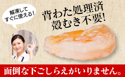 【定期便6回】特大大盛むきえび1.6kg（正味）《配達不可エリア：北海道・沖縄・離島》・K308