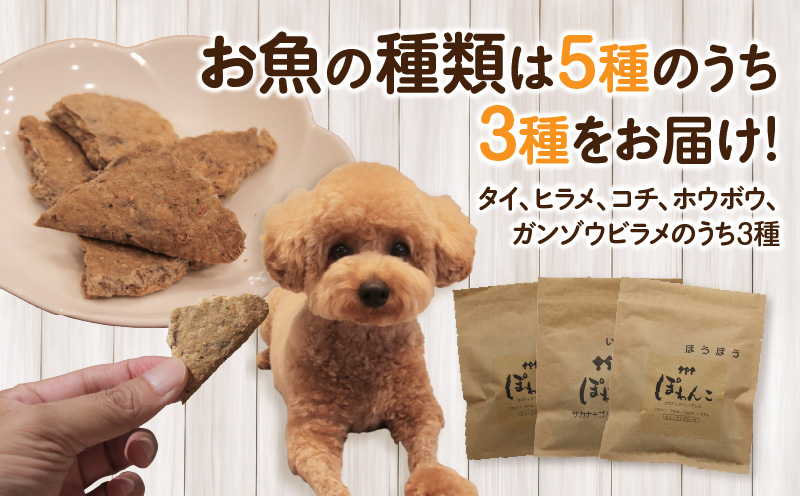 【12月限定価格】100%お魚で作ったペットフード「ぽわんこ」お試しサイズ・K322_c2