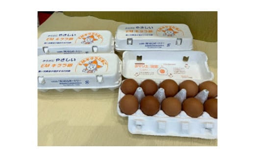 S018-66.杉山ポートリー「EMキララたまご」【6か月定期便】