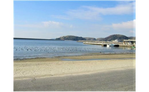 三河の民宿「鈴喜館」ペア宿泊券（１泊２食付き）（2名分）・S025