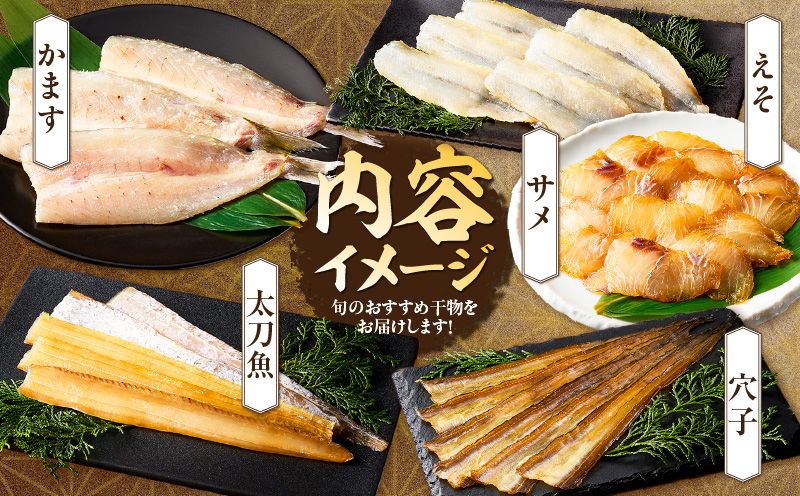 三河湾地魚モリモリセット・T020-13