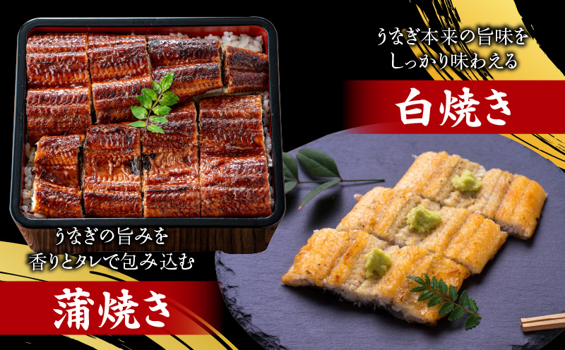 焼鰻特選オス帝うなぎ大2尾　計280g　（白焼き・たれ付き）・Y099