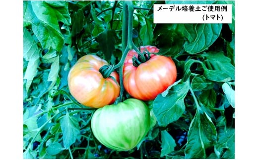 メーデル培養土56Ｌ（14L×4袋）A017-19